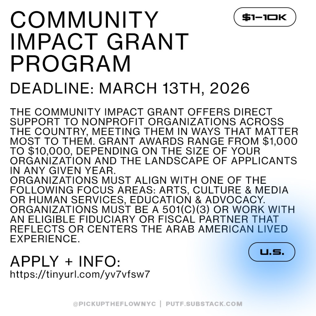 2026 Community Impact Grant Program | Center For Arab American ...